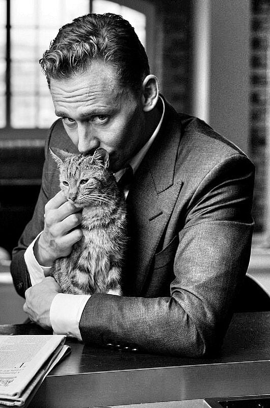 Hiddleston kisses a cat