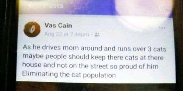Social media post in which mother praises son for running over cats