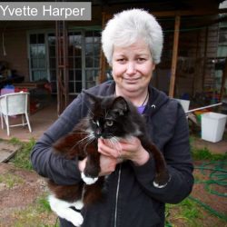 Yvette Harper with one of her cats