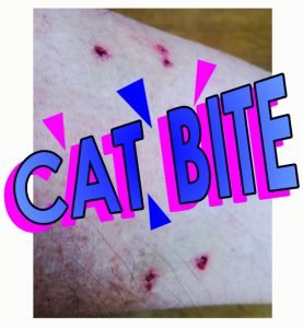 Cat bite
