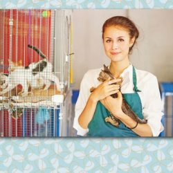 Animal shelter employee