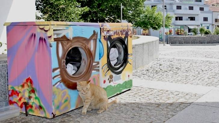 Old washing machines used for cat homes1