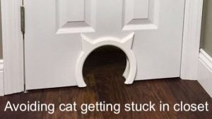 Solution for cats getting stuck in closet