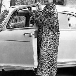 Ocelot coat 1957