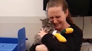 Emotional reunion between Camp Fire cat and owner
