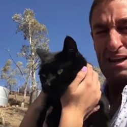 Man cries on being reunited with cat lost in fire