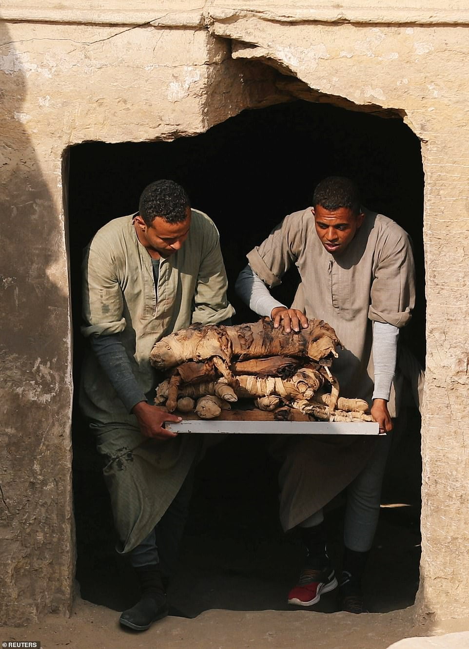 Removing the cat mummies from the tomb