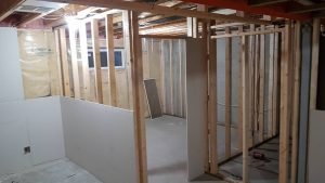 Building the Bengal cat 'jungle' in the basement in memory of his deceased brother