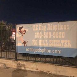 AZ Dog Adoptions