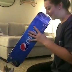 Cat play session that went wrong