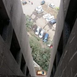 Cat thrown from window on 16th floor