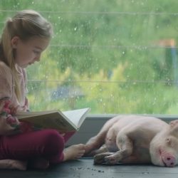 Eating companion animals