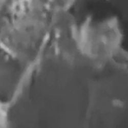 Surveillance camera photos of man who dumped 2 cats among trash in NYC in sealed plastic buckets