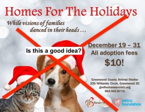 Promoting adoptions at Christmas from animal shelters
