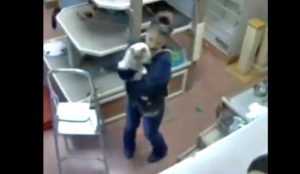 Security camera catches pet resort employee dancing with cat