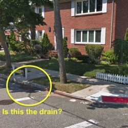 Storm drain from which a kitten was rescued
