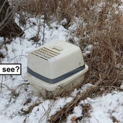 Taped up covered litter tray by side of road in ditch. What do you see?