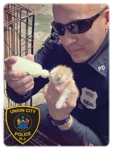 Union City NJ police save kitten