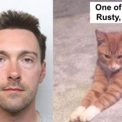 Cat killer Gaughan and one of the cats, Rusty, who he killed