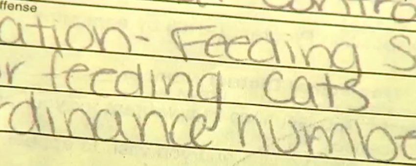Citation for feeding feral cats