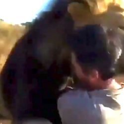 Man friends with 2 lions