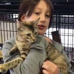 Nadira promoting a rescue cat on YouTube