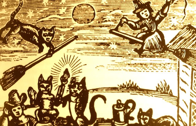 Cat-phobics persecuting the cat in medieval times