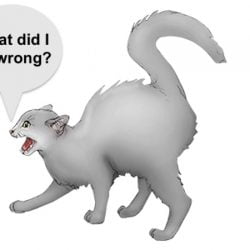 Cat punishment is inappropriate. There are many reasons why.