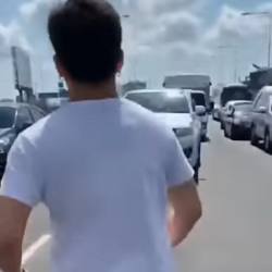 Couple stop traffic on 4-lane highway to rescue kitten