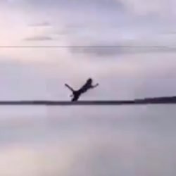 Throwing cat into water