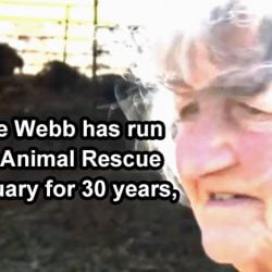 Carole has run FARS for 30 years