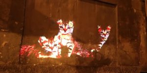 Cat art light projections in Rome delight the children and visitors.