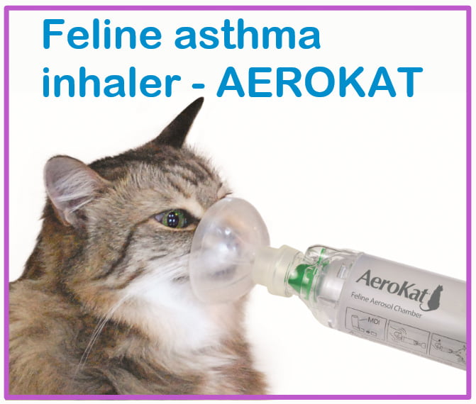 Feline asthma inhaler