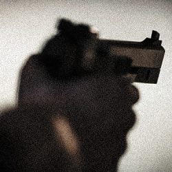 Gun - woman robbed feeding feral cats