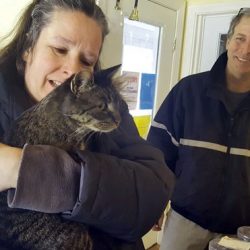 cat reunited with family