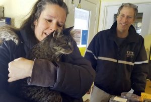 cat reunited with family