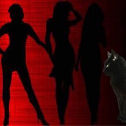 Link between cathouse and pussy