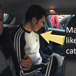 Mafia boss liked cats