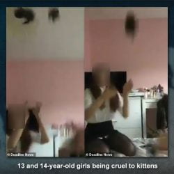 Young teenage girls arrested for being cruel to kittens