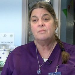 shelter director fired