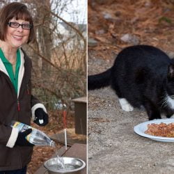 Maryann Hamilton and one of the seven cats
