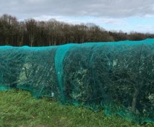hedgerow netting