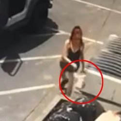 Woman throws away 7 newborn puppies as trash