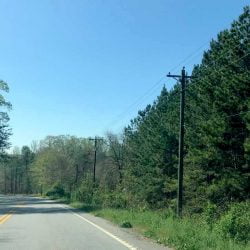 A stretch near the 200 block of New Harrison Bridge Road in the Simpsonville area is pictured on April 10, 2019. A number of abandoned cats were found in this area in March, according to Greenville County Animal Control.