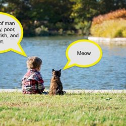 Conversation between cat and kid