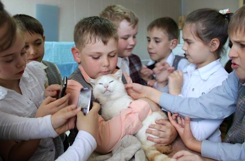 Extraordinary photo of cat surrounded by children
