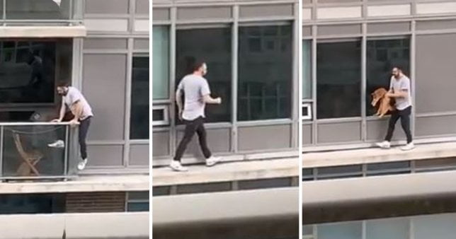 Man traverses outside of building to get his cat