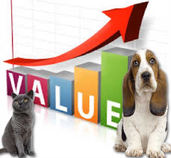 The relative financial value of domestic cats and dogs