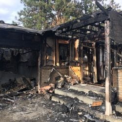 House fire killed four pets. Why and how?