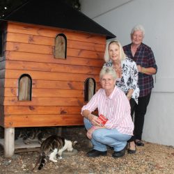 feral cat hotel
